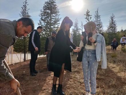 Her Çalışan Bir Fidan